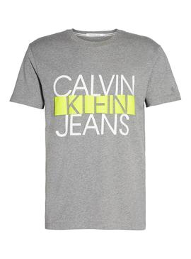 T-Shirt Calvin Klein Colorblock Stripe Gris