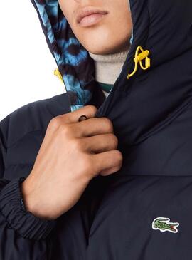 Veste Lacoste National Geographic Bleu Homme