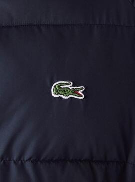 Veste Lacoste National Geographic Bleu Homme