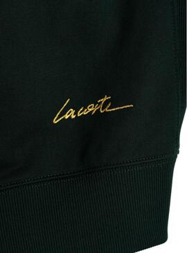 Sweat Lacoste Live Hooded Vert pour Homme
