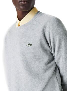 Pull Lacoste Live Col rond Gris Homme
