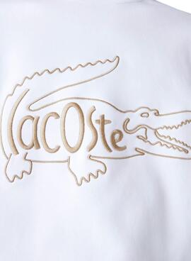 Sweat Broderie du logo Lacoste Blanc pour Homme