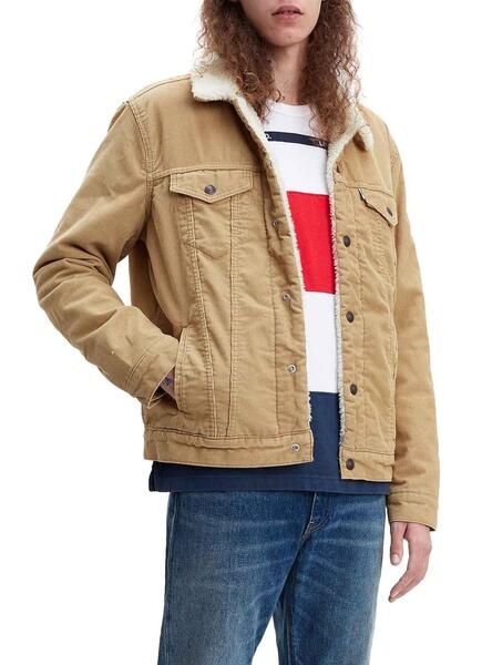 Veste Levis Type 3 Beige Sherpa Homme