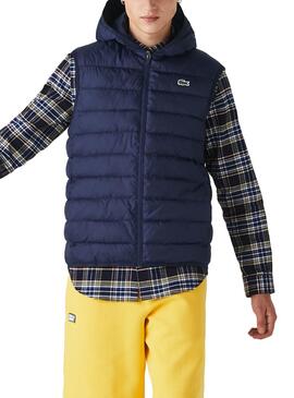 Gilet Lacoste Basic Bleu pour Homme