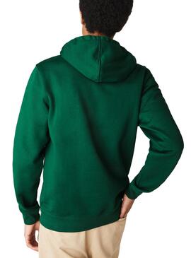 Sweat Capuche Lacoste Vert pour Homme