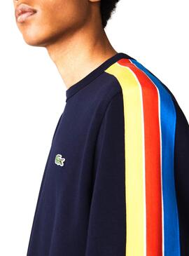 Sweat Lacoste Tricolore Bleu pour Homme