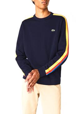 Sweat Lacoste Tricolore Bleu pour Homme