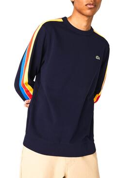 Sweat Lacoste Tricolore Bleu pour Homme