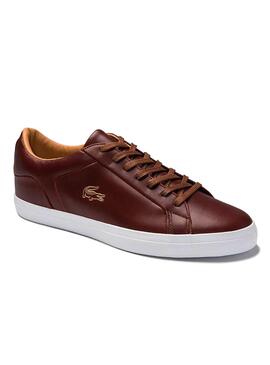 Baskets Lacoste Lerond brun pour Homme