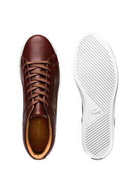 Baskets Lacoste Lerond brun pour Homme