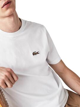 T-Shirt Lacoste National Geographic Blanc Homme