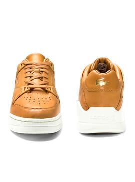 Baskets Lacoste Court Slam brun pour Femme