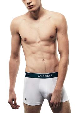 Pack Boxer Lacoste Boxer Basic Homme