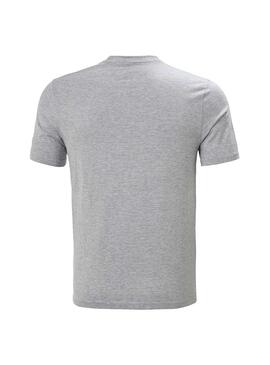 T-Shirt Helly Hansen Nord Graphic Gris Homme